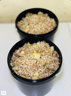 Upwas Menu by Kilo